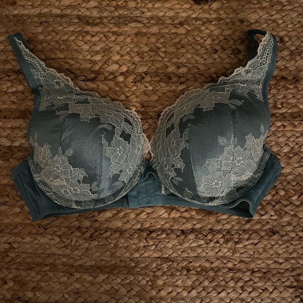 Lane Bryant Smooth Boost Plunge Bra with Lace